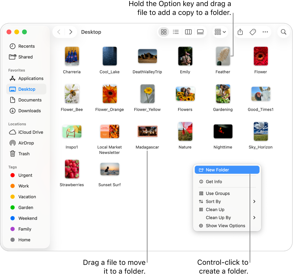 A Finder window containing files and folders. In the shortcut menu, New Folder is highlighted.