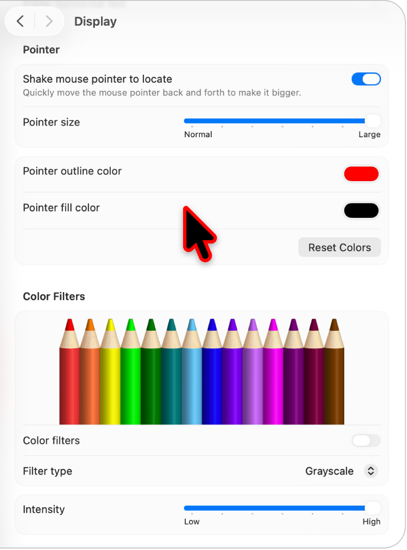 Réglages d’accessibilité Écran qui affichent un grand pointeur dont la couleur du contour est personnalisée.