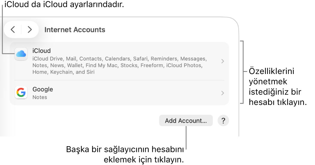 Mac’te ayarlanan hesaplar listelenmiş olarak İnternet Hesapları ayarları.
