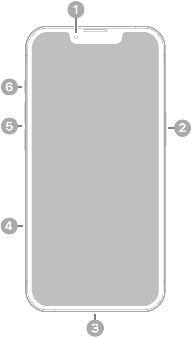 The front view of iPhone 17e. The front camera is at the top center. The side button is on the right side. The USB-C connector is on the bottom. On the left side, from bottom to top, are the SIM tray, the volume buttons, and the Action button.