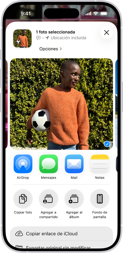 Se muestra una foto seleccionada en la mitad superior de la pantalla de un iPhone, con las opciones para compartirla debajo de ella. Debajo hay opciones adicionales, como Copiar foto, Agregar a álbum compartido, Agregar a álbum y Usar como fondo de pantalla.