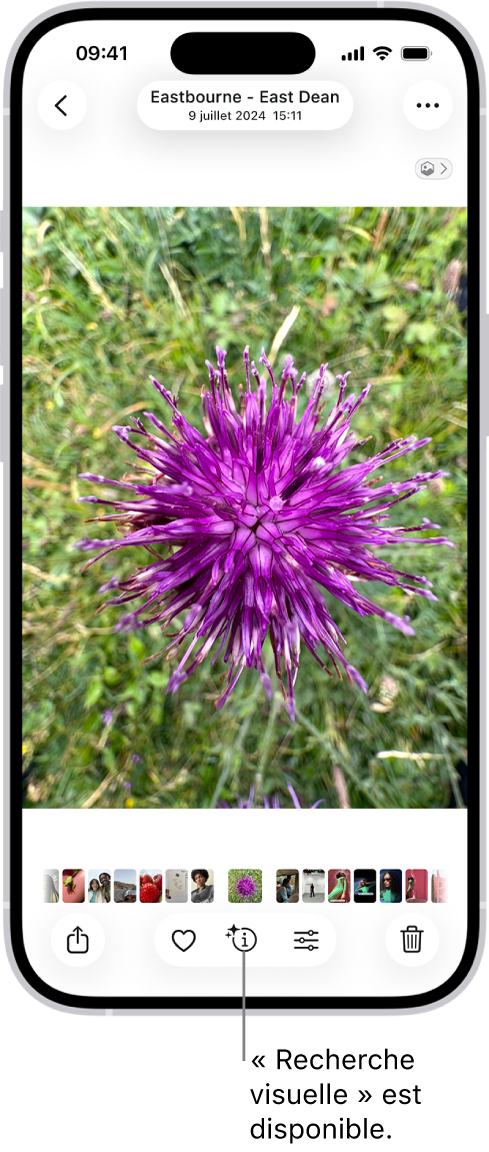 Une photo est ouverte dans l’app Photos. En bas de l’écran, le bouton Infos affiche une icône indiquant que des informations « Recherche visuelle » sont disponibles.