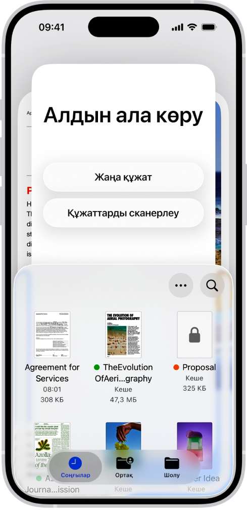 PDF файлдары мен суреттерді көрсетіп тұрған «Алдын ала қарау» қолданбасының негізгі экраны. Экранның төменгі жағындағылар — «Соңғылар», «Ортақ» және «Шолу» қойындылары.