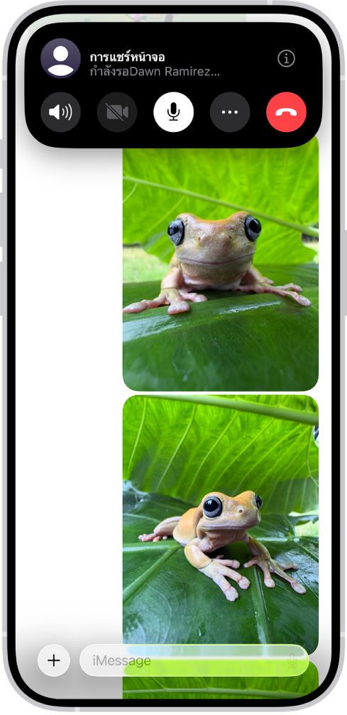 คำขอที่รออยู่เพื่อแชร์หน้าจอในข้อความ