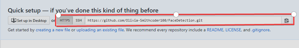 Copia l'URL del tuo repository remoto da GitHub.