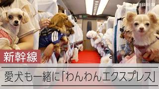 にぎわうワンワン新幹線、ペットは旅行同伴の時代 ホテルに飛行機も