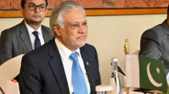 পাকিস্তানের পররাষ্ট্রমন্ত্রী মোহাম্মদ ইসহাক দার (ফাইল ছবি)