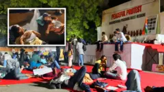 दिल्लीतील जंतर-मंतरवर सुरू असलेल्या कॉक्रोच जनता पार्टीच्या आंदोलनाचं मध्यरात्रीचं चित्र काहीसं असं होतं.
खरं तर, हे आंदोलन शनिवारी (20 जून) दुपारी एक वाजता सुरू झालं. पोलिसांनी या आंदोलनाला सायंकाळी पाच वाजेपर्यंतच वेळ दिली होती.
पण दुपारी सुरू झालेलं हे आंदोलन मध्यरात्रीही सुरूच होतं.