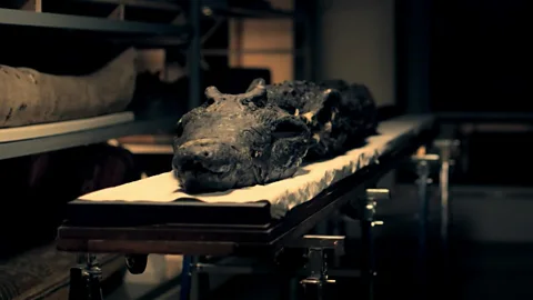 Animal gods signalled Egypt's downfall