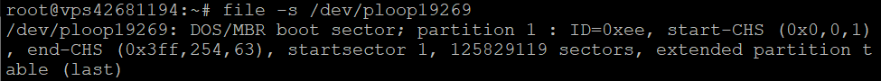 Read a block special file using the Linux file command on Terminal