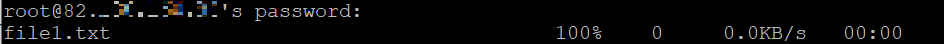 Terminal outputs a password confirmation prompt and an SCP progress bar
