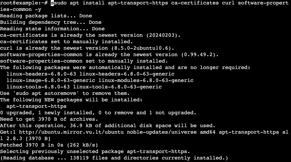 Un output del terminale mostra il processo di installazione dei pacchetti e delle dipendenze necessarie