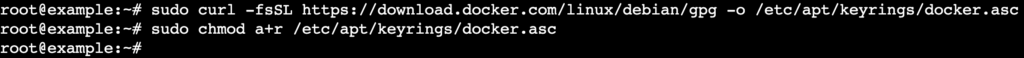 L'output del terminale dopo l'aggiunta della chiave GPG di Docker e l'aggiornamento dei suoi permessi