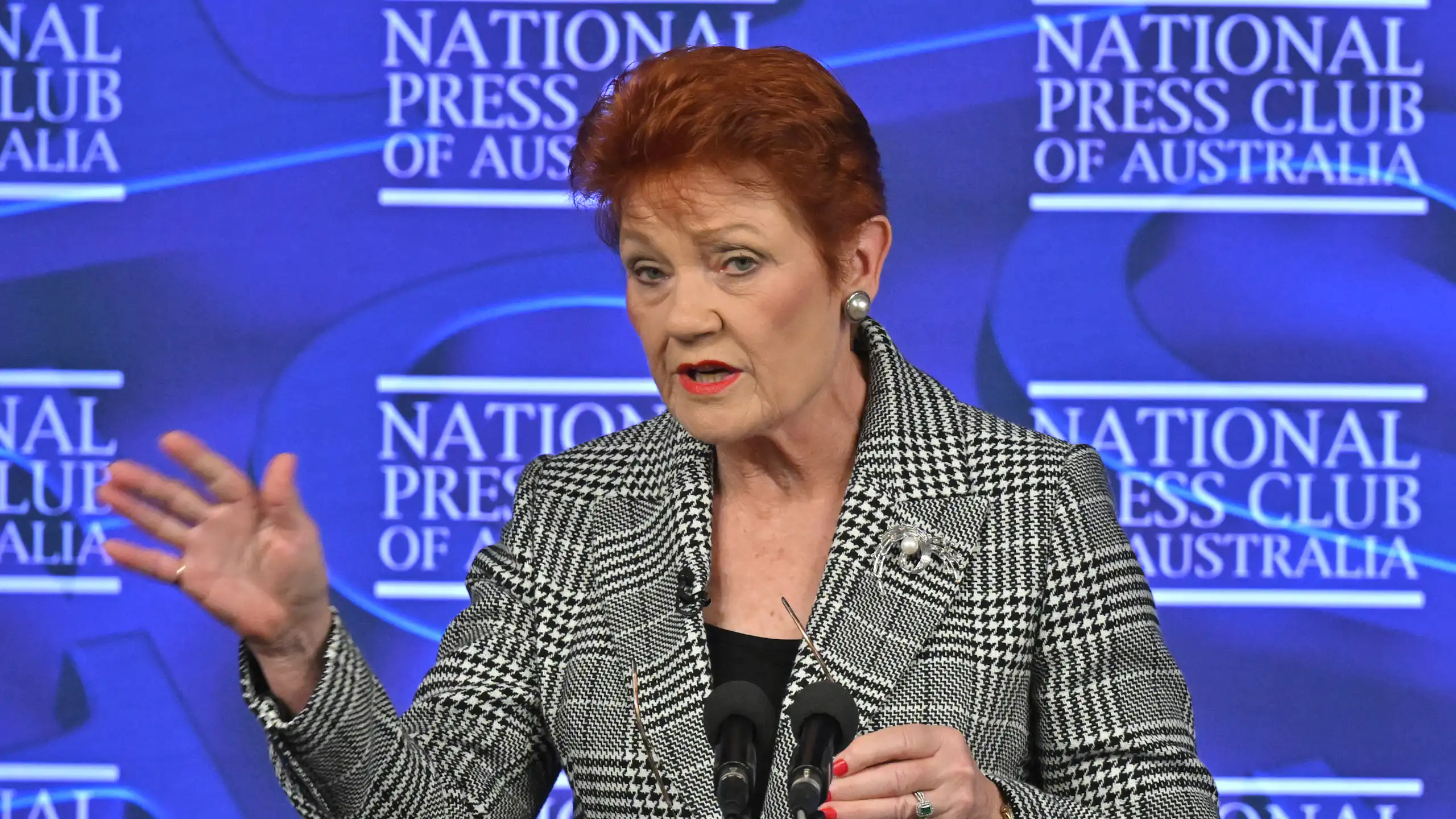 Pauline Hanson speaking at the National Press Club