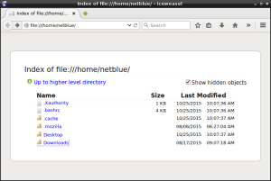 Firefox home directory.