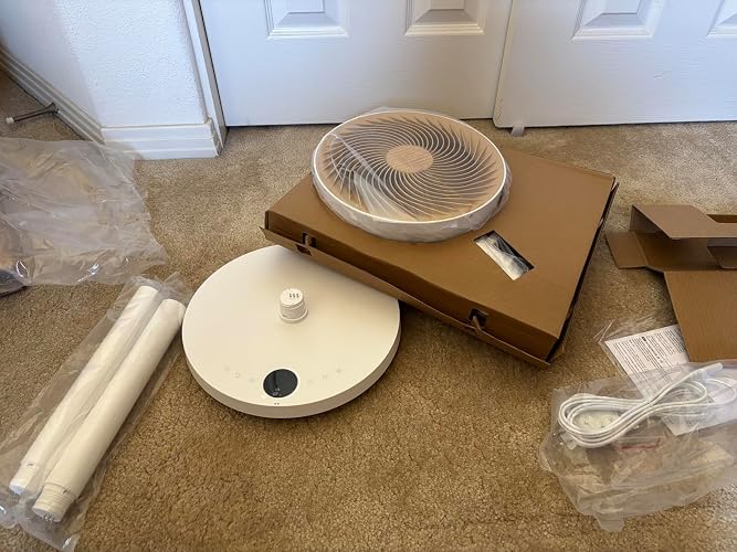 This fan moves!
