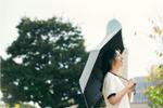コールマンの折りたたみ傘、「テント技術の高遮光・高耐水」で晴雨対策万全だ