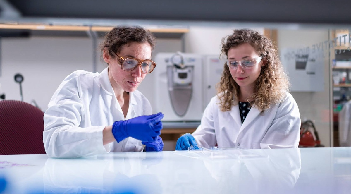 Two scientists work in a lab.