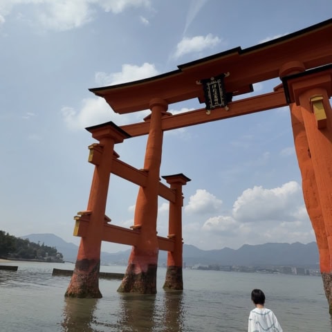 「食べ飲み放題のホテルラウンジ」「ポケモン三昧」【7歳児と広島旅】に行ってみた!