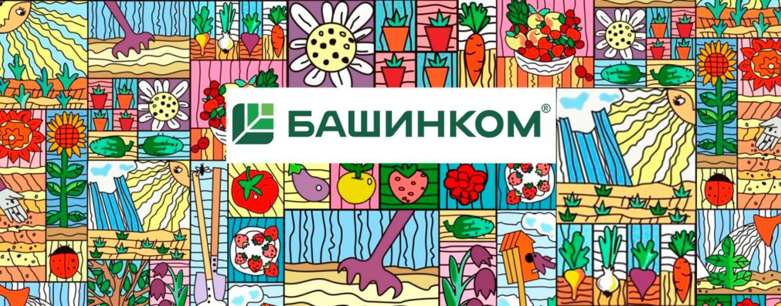 БашИнком