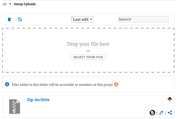 BuddyDrive Uploader.