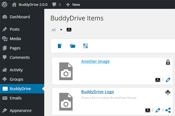 BuddyDrive items administration.