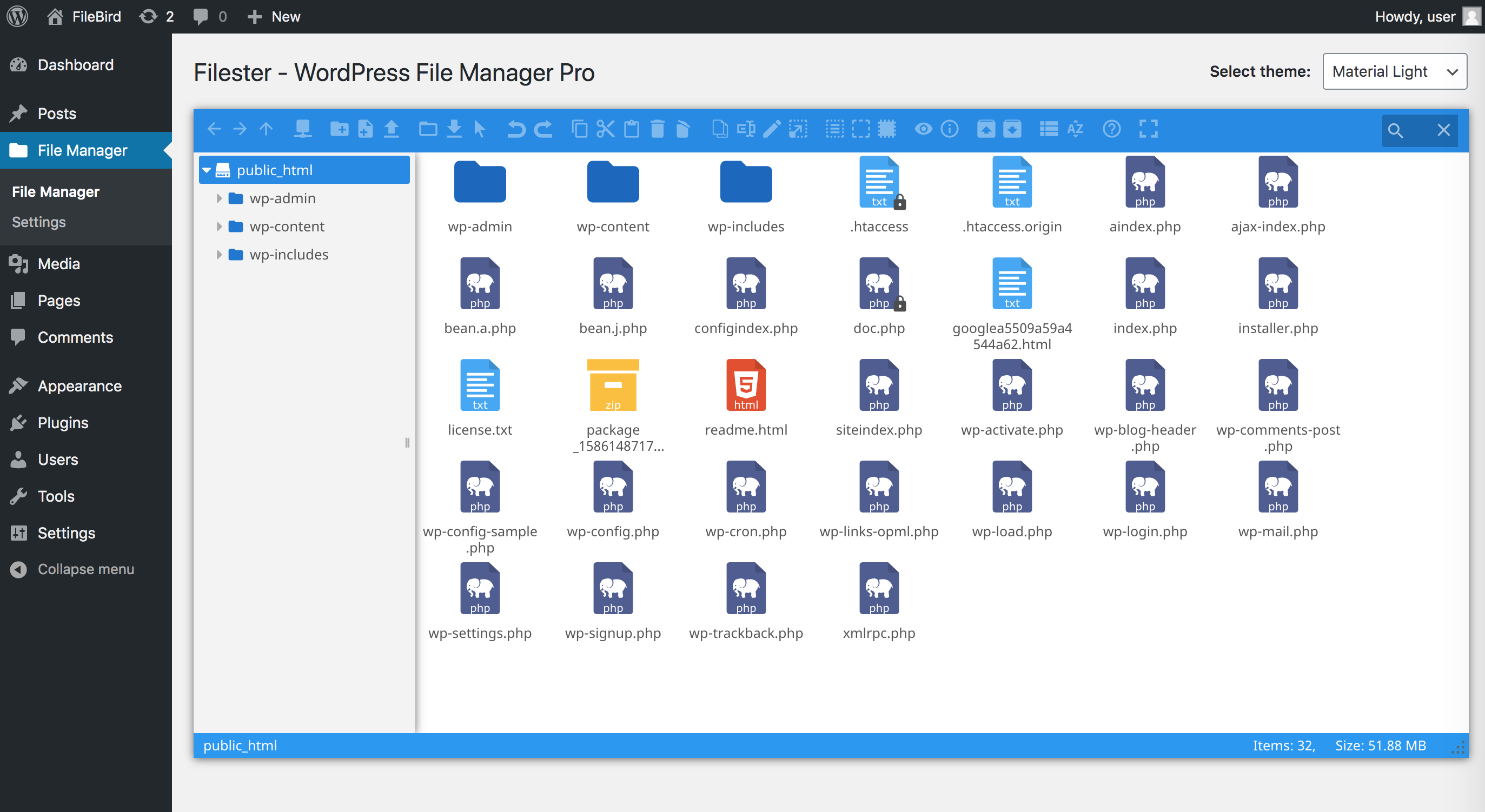 WP file manager for WordPress directory