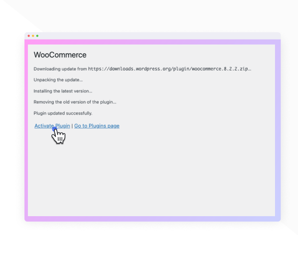 The plugin will update to the selected version.