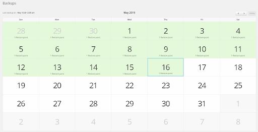 Backup calendar view - You can view and restore files + database from a calendar view.