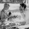 Picnic-Example.png Picnic-Example.png