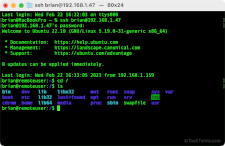A remote user connected to a Ubuntu server