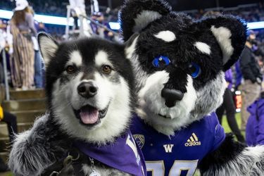 Photograph of Dubs and Harry on the football field.