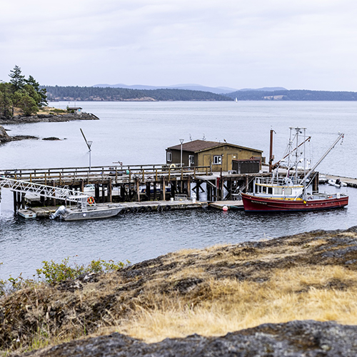 A boat at Friday Harbor Lab