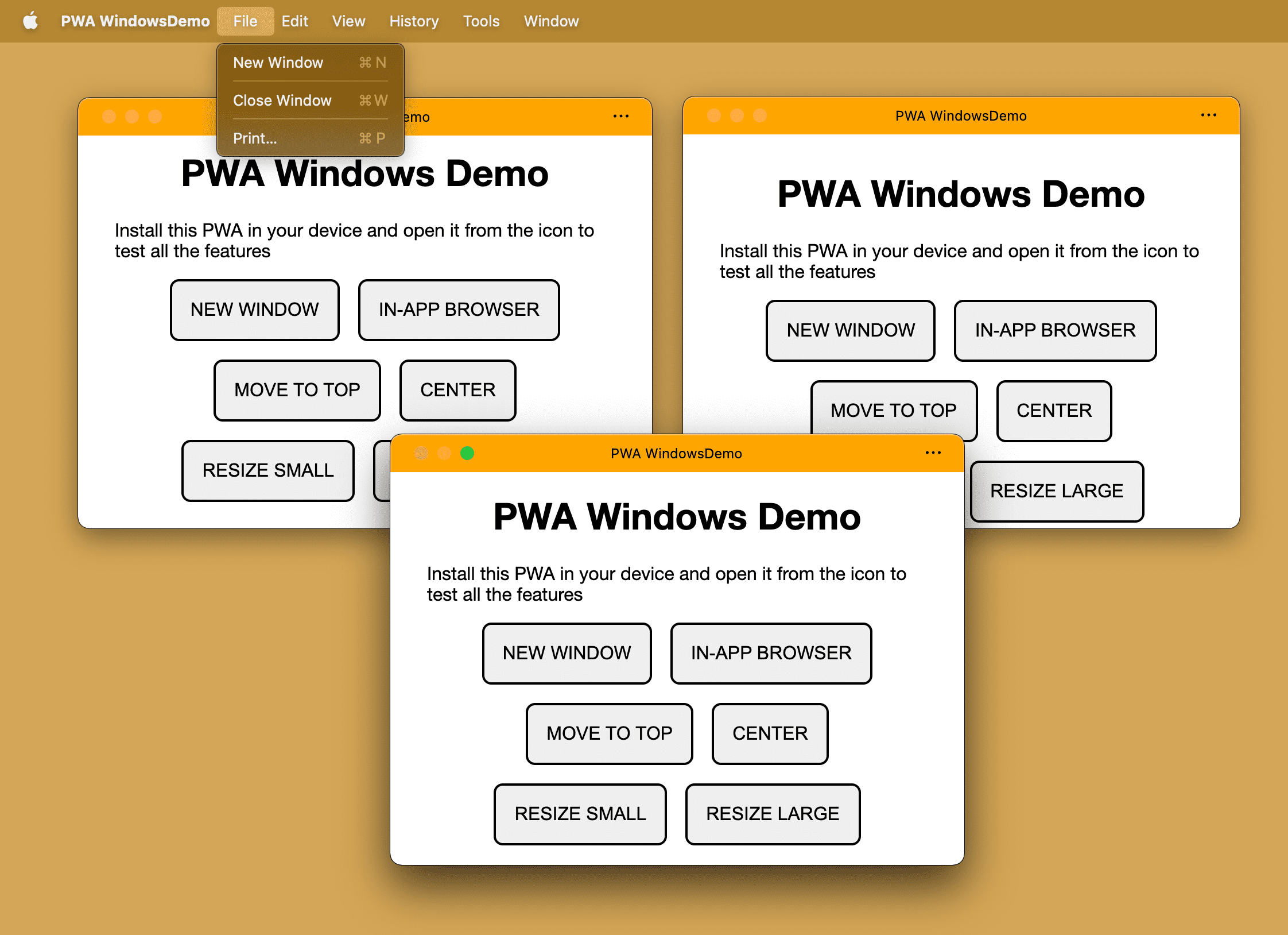 在桌面操作系统上打开了多个窗口的同一已安装 PWA。