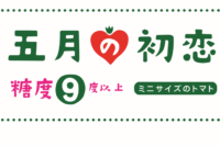 2025 五月の初恋【完売】のお知らせ