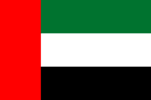 Governments 96 United Arab Emirates flag