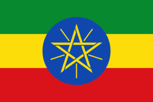 Governments 29 2000px Flag of Ethiopia.svg e1609859179391