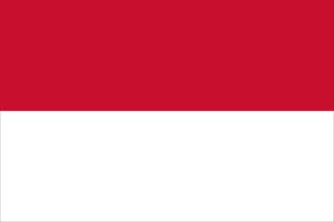Governments 41 Flag Indonesia