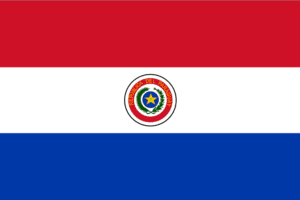 Governments 70 Paraguay flag e1608716984293
