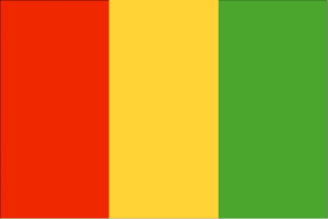 Governments 38 guinea