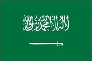 Governments 79 saudi arabia flag