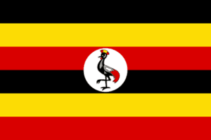 Governments 101 uganda
