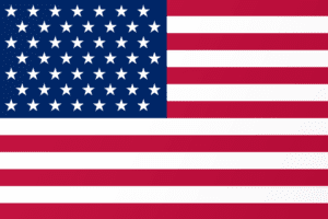 Governments 98 United States of America flag