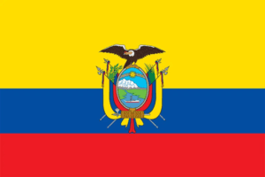 Governments 26 Ecuador flag